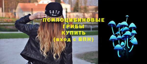 стафф Баксан